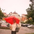 [Bild: Fake%2BProfile%2BFrauen_foreverlove_03_f....thumb.jpg]