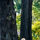 [Bild: Fake%2BProfile%2BFrauen_foreverlove_08_f....thumb.jpg]