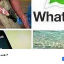 [Bild: Fake%2BProfile%2BFrauen_ndumemfaume_Prof....thumb.jpg]