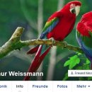 [Bild: Fake%2BProfile%2BManner_Arthur%2BWeissma....thumb.jpg]