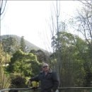 [Bild: Fake%2BProfile%2BManner_Wayne%2BSmith_09....thumb.jpg]