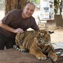 [Bild: Fake%2BProfile%2BManner_harryluv02_02_ha....thumb.jpg]