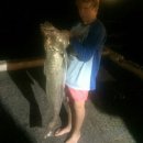 [Bild: Fake%2BProfile%2BManner_ortizomar2012_12....thumb.jpg]