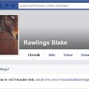 [Bild: Mannliche%2BScammer_brjejonatan_Profile_....thumb.jpg]