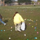 [Bild: Mannliche%2BScammer_caterbill110_37_cate....thumb.jpg]