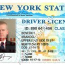 [Bild: Mannliche%2BScammer_erick4peace_Driver_e....thumb.jpg]