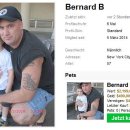 [Bild: Mannliche%2BScammer_frank_morgan1_Profil....thumb.jpg]