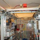 [Bild: Mannliche%2BScammer_greg2anderson01_07_g....thumb.jpg]