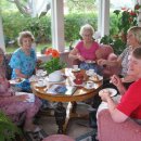 [Bild: Mannliche%2BScammer_hamiltonbrown123_11_....thumb.jpg]