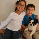 [Bild: Mannliche%2BScammer_hawkinsmorgan90_15_h....thumb.jpg]