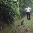 [Bild: Mannliche%2BScammer_jerryhoffmann1958_01....thumb.jpg]