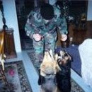 [Bild: Mannliche%2BScammer_kensly1_01_kensly1.jpg.thumb.jpg]