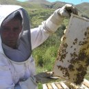 [Bild: Mannliche%2BScammer_lorenzo_whyte147_10_....thumb.jpg]