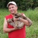 [Bild: Mannliche%2BScammer_peter_scote_07_peter....thumb.jpg]