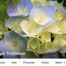 [Bild: Mannliche%2BScammer_raymondbrad818_Profi....thumb.jpg]