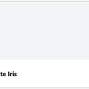 [Bild: Mix%2Bdiverse%2BScammer_Wohnmobil%2Bzum%....thumb.jpg]