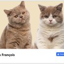 [Bild: Mix%2Bdiverse%2BScammer_Wohnmobil%2Bzum%....thumb.jpg]