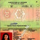 [Bild: Ohne%2BThread_Mercy%2BDannsu%2BH1240100_....thumb.jpg]