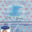 [Bild: Ohne%2BThread_Mortin%2BMathais_Pass_Mort....thumb.jpg]