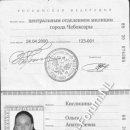 [Bild: Russland_beautifuloga_Pass_beautifuloga.jpg.thumb.jpg]