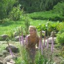 [Bild: Russland_blondinkakrasota_10_blondinkakr....thumb.jpg]