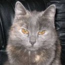 [Bild: Russland_helensweetgirl_61_helensweetgirl.jpg.thumb.jpg]