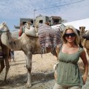 [Bild: Russland_inradk_59_inradk.jpg.thumb.jpg]