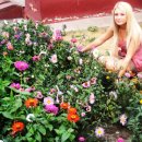 [Bild: Russland_kdosif_11_kdosif.jpg.thumb.jpg]