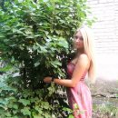 [Bild: Russland_kdosif_20_kdosif.jpg.thumb.jpg]