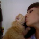 [Bild: Russland_kisa_kiss0500_57_kisa_kiss0500.jpg.thumb.jpg]