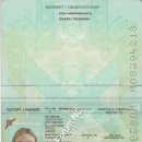 [Bild: Russland_kyzburak_Pass_kyzburak.jpg.thumb.jpg]