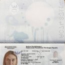 [Bild: Russland_kyzburak_Pass_kyzburak_1.jpg.thumb.jpg]