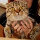 [Bild: Russland_lflowerlove_10_lflowerlove.jpg.thumb.jpg]