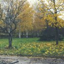 [Bild: Russland_marusay_21_marusay.jpg.thumb.jpg]