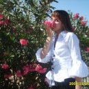 [Bild: Russland_marusay_36_marusay.JPG.thumb.jpg]