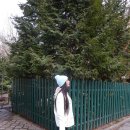 [Bild: Russland_milashkabright_03_milashkabright.jpg.thumb.jpg]