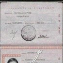 [Bild: Russland_pinkflower772_Pass_pinkflower772.jpg.thumb.jpg]