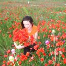 [Bild: Russland_saashenkaa_06_saashenkaa.jpg.thumb.jpg]