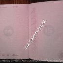 [Bild: Russland_tenderkitten435_Pass__tenderkit....thumb.jpg]