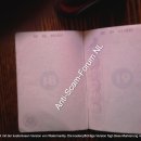 [Bild: Russland_tenderkitten435_Pass__tenderkit....thumb.jpg]