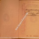 [Bild: Russland_tenderkitten435_Pass__tenderkit....thumb.jpg]