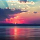 [Bild: Russland_wildcherry2006_Profile_wildcher....thumb.jpg]