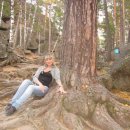 [Bild: Russland_zebraaslleud_02_zebraaslleud.jpg.thumb.jpg]