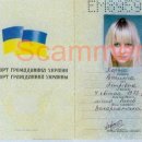 [Bild: Ukraine_blondlady2006_Pass_pfirsich2010_1.jpg.thumb.jpg]