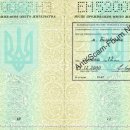 [Bild: Ukraine_nastya_Pass_nastya_2.jpg.thumb.jpg]