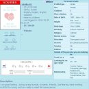 [Bild: Weibliche%2BScammer%2Baus%2BAfrika_bless....thumb.jpg]