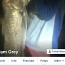 Profile_ortizomar2012_29