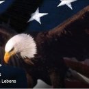 Profile_cobbywater_159