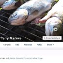 Profile_highst7064212867