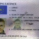 Paul Lowle 705121P99LH